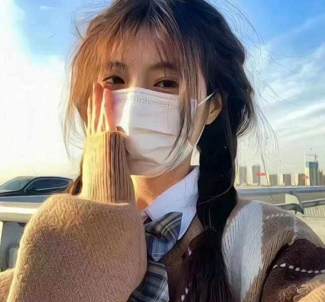 骚狐狸